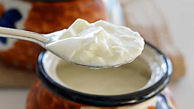 curd in dinner: रात्री जेवणात दही खावे का? पाहा आयुर्वेद यावर काय सांगते