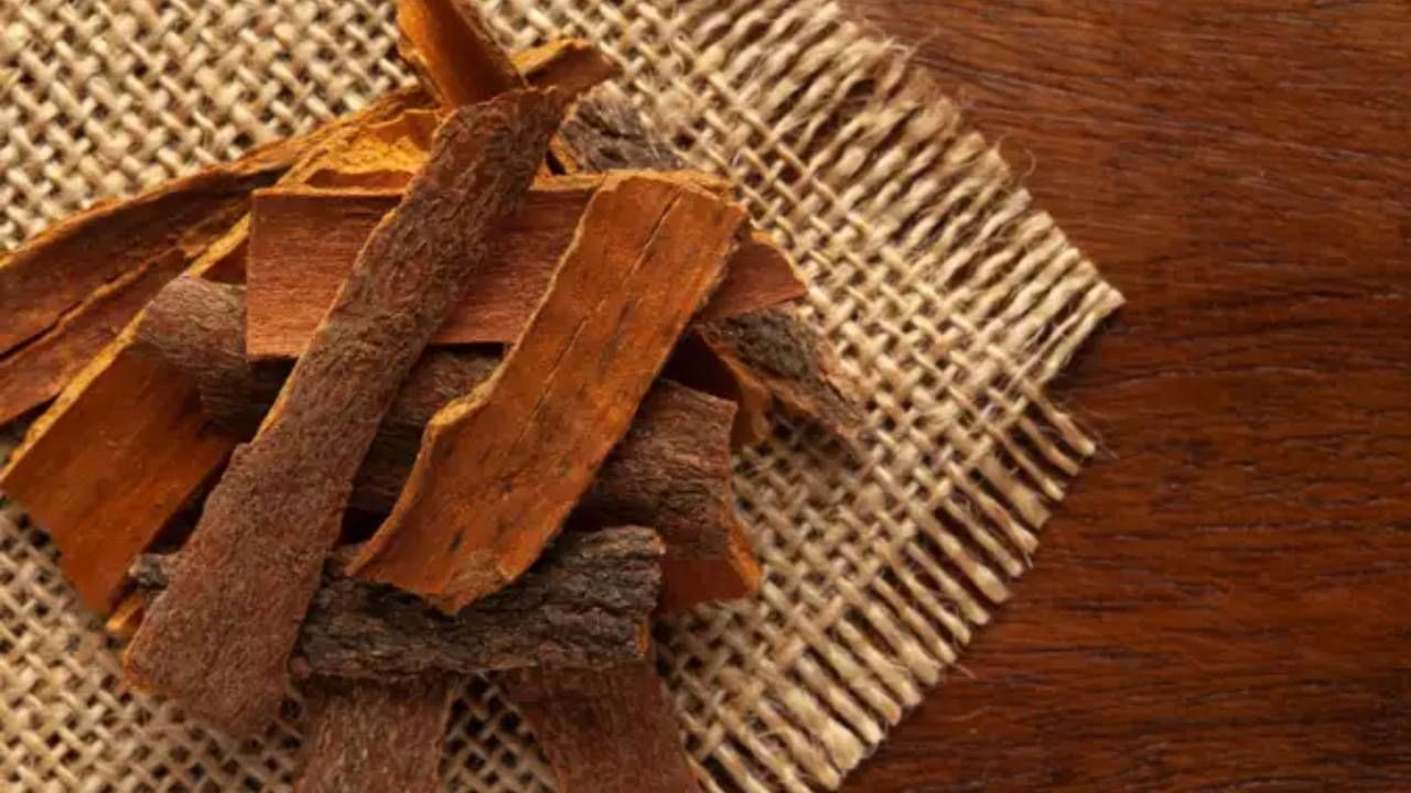 थंडीत सहाजिकच हात पाय खूप थंड पडतात. या ऋतूत खूप चहा प्यायची इच्छा होते . चहा बनवताना चहात १/४ तुकडा दालचिनी घाला आणि मस्त चहा बनवा. दालचिनीचा चहा हा उत्तम असतो. कफ दोष दूर करण्यासाठी, घसा शांत करण्यासाठी हा चहा उत्तम आहे.