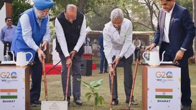नेहरू पार्कमध्ये पर्यावरणपूरक वृक्षांची लागवड, G20 देशाचे प्रतिनिधी होते उपस्थित