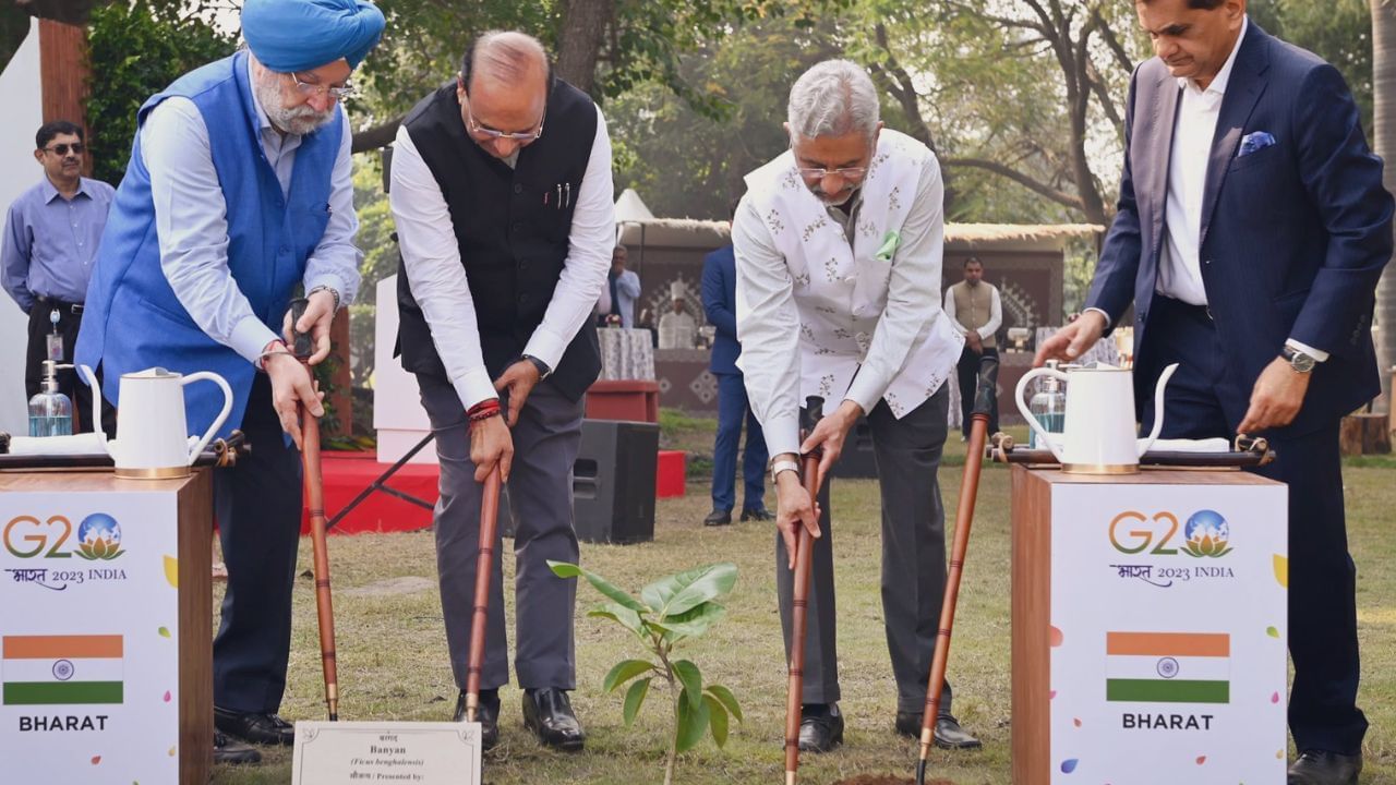 नेहरू पार्कमध्ये पर्यावरणपूरक वृक्षांची लागवड, G20 देशाचे प्रतिनिधी होते उपस्थित