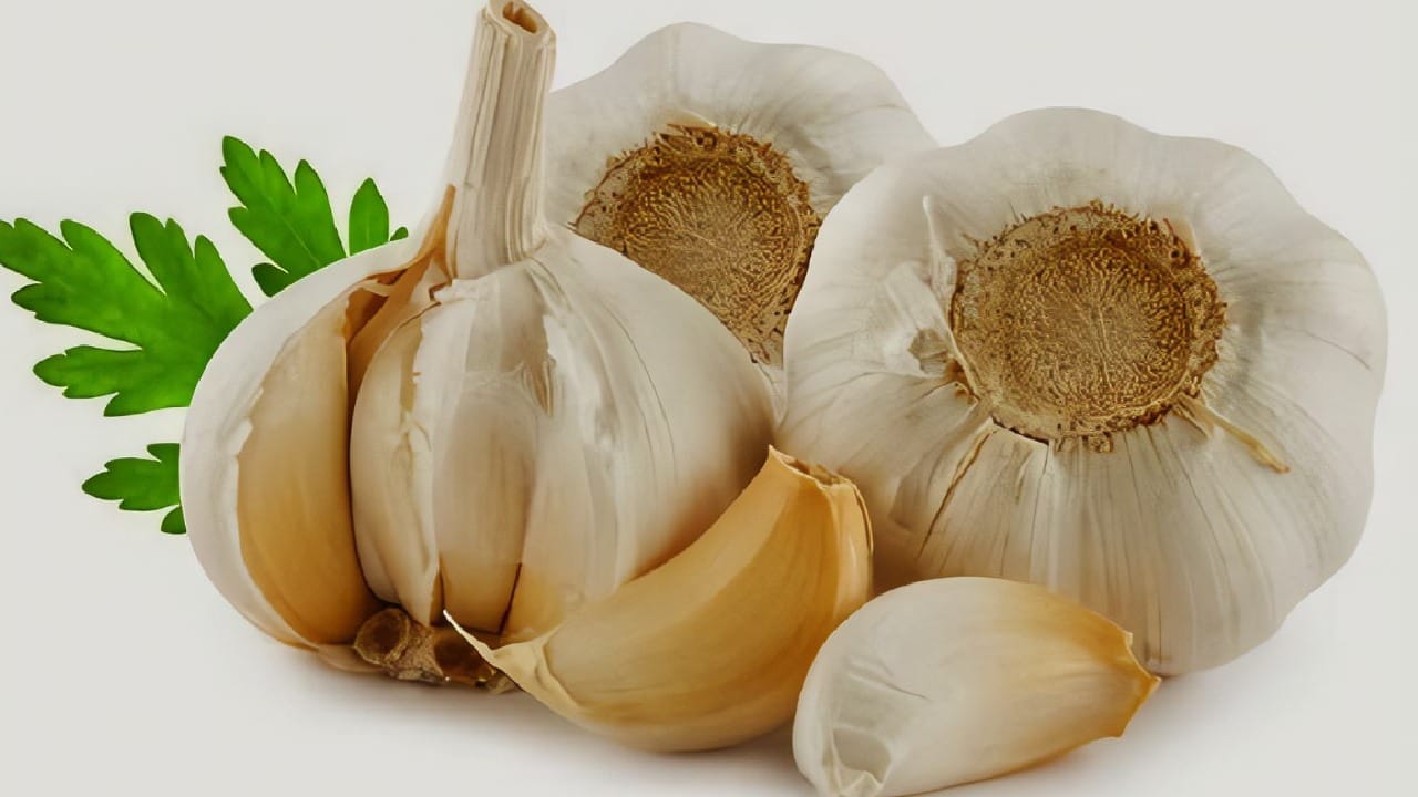 लसूण मध्ये लोह असते. लसूण आरोग्यासाठी खूप चांगले असते, लोह कमी झाल्यास ते खाण्याचा सल्ला दिला जातो. पण तुम्हाला माहितेय का यकृतासाठी सुद्धा लसूण खूप चांगलं असतं. यकृत साफ करण्यासाठी लसूणचा खाल्ला जाऊ शकतो. लसणात ॲलिसिन नावाचे कंपाऊंड असते. याशिवाय हे अँटीऑक्सिडेंट आणि दाहक-विरोधी गुणधर्मांनी समृद्ध आहे. हे सर्व घटक असल्याने यकृताचे आरोग्य सुधारले जाऊ शकते. 