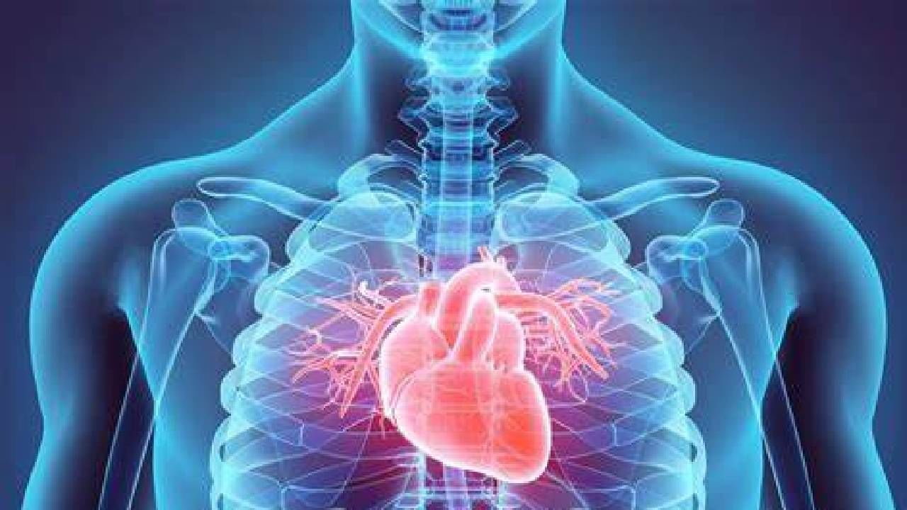 सिगारेट मारल्याने, मद्यपान केल्याने हृदयाचे आरोग्य बिघडते. या वाईट सवयींपासून जितक्या लवकर तुम्ही स्वतःची सुटका करून घ्याल तितकं चांगलं. अशा प्रकारची व्यसनं तुम्हाला असतील तर तुम्ही हृदयविकाराला बळी पडू शकता.