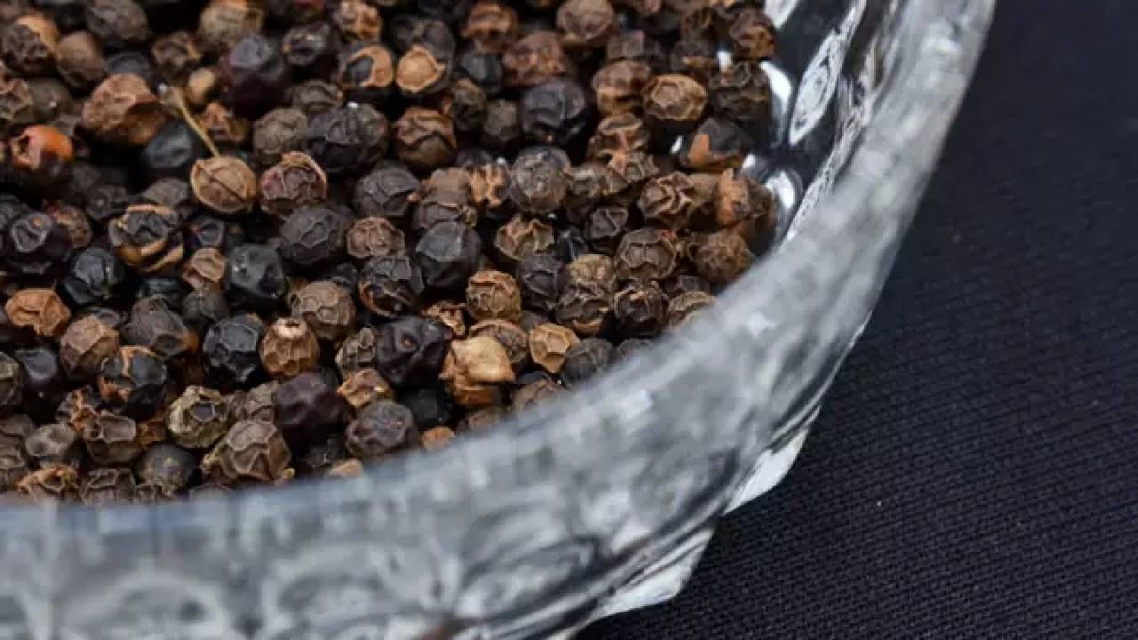 काळी मिरी हा मसाला सर्दी आणि पचनावर उत्तम उपाय आहे. ऑक्टोबरच्या थंडीत काळी मिरी, हळद, दालचिनी हे मसाले वापरलेच पाहिजेत. हे मसाले आरोग्यासाठी खूप चांगले असतात आणि थंडीत तर यांचा वापर आवर्जून करावा.