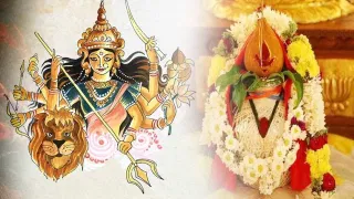 Shardiya Navratri 2023 : आर्थिक तंगी दूर करण्यासाठी शारदीय नवरात्रीत करा हे उपाय, होईल धनलाभ