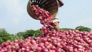 कांदा दरात घसरण, पाच दिवसांत 36 कोटी रुपयांचा तोटा, ही तीन कारणे ठरली तापदायक