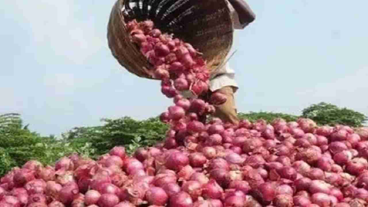 सोशल मीडियातील मेसेजमुळे कांद्याच्या दरात घसरण, केंद्र सरकारच्या धोरणाचाही परिणाम