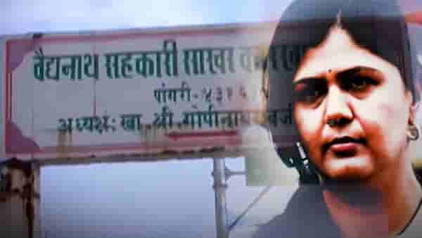 ‘सरकारच्या तोंडावर पैसे फेकून मारू’, पंकजा मुंडे यांच्या मदतीसाठी समर्थक सरसावले