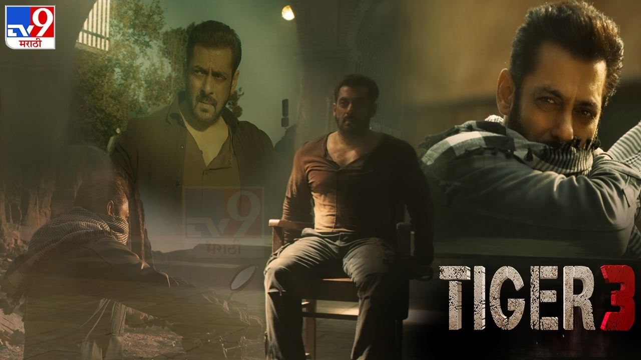 Tiger 3 Trailer : 'आतिशबाजी तुमने शुरू की खत्म मैं करूंगा...', 'टायगर 3' सिनेमाचा दमदार ट्रेलर प्रदर्शित