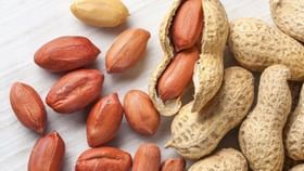 Soaked Peanuts | भिजवलेले शेंगदाणे खाण्याचे फायदे! वाचा Soaked Peanuts | भिजवलेले शेंगदाणे खाण्याचे फायदे! वाचा