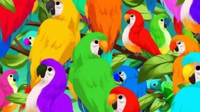 Optical Illusion | रंगीबेरंगी पोपटांमध्ये सरडा शोधून दाखवा! दिसतोय का सांगा?