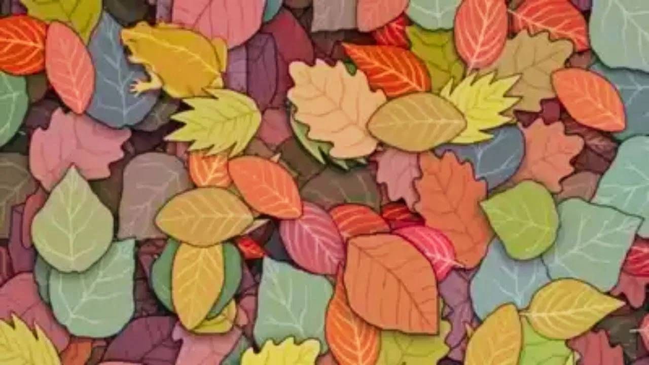 Optical Illusion | या चित्रात बेडूक शोधून दाखवा! Optical Illusion | या चित्रात बेडूक शोधून दाखवा!