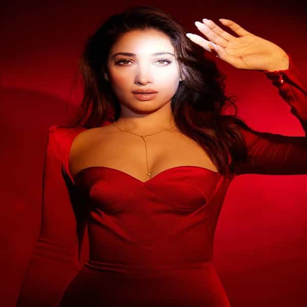 अभिनेत्री तमन्ना भाटिया हिने (Tamannaah Bhatia) हिने अनेक सिनेमांमध्ये महत्त्वाची भूमिका साकारत चाहत्यांच्या मनावर राज्य केलं. आता देखील अभिनेत्री तिच्या हॉट अदांमुळे चर्चेत आहे.