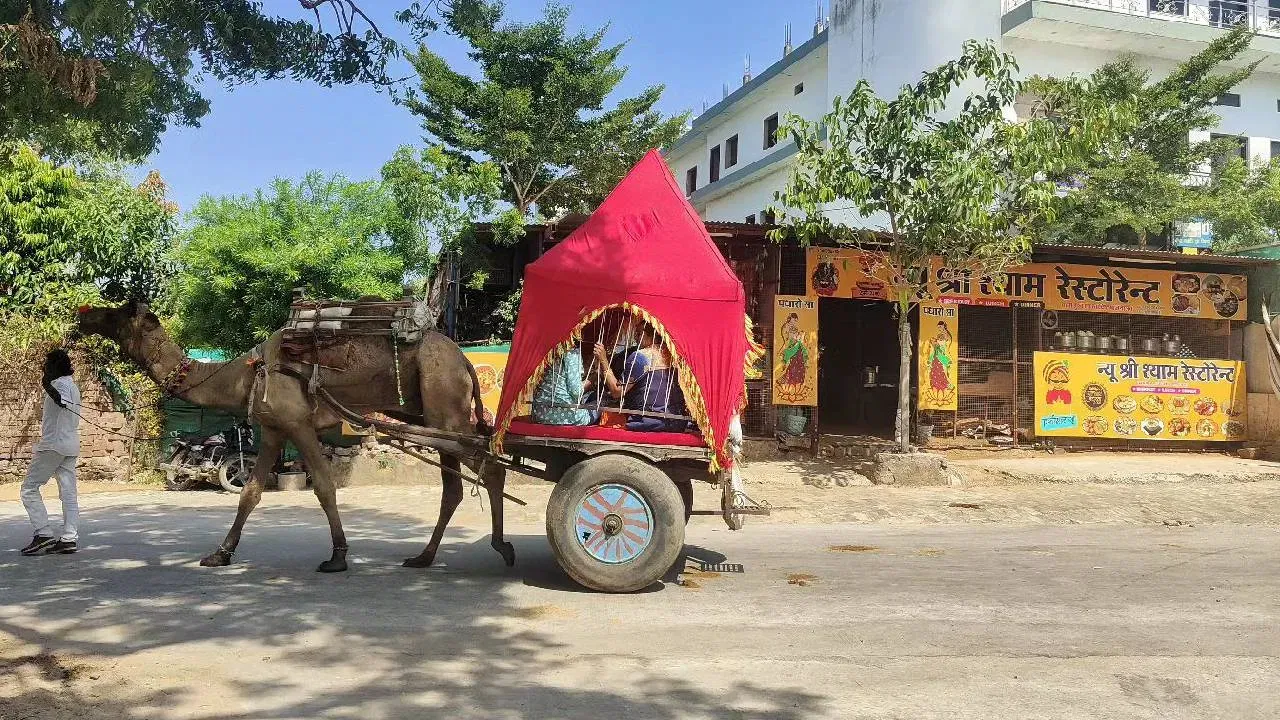 पुष्कर, राजस्थान : राजस्थानच्या पुष्करमधील बहुतेक दुकानदार इस्त्रायली लोकांच्या भाषेत बोलतात. हर्ब्यु भाषेत बोललं की इस्त्रायली लोकांना राजस्थान आपल्या घरासारखं वाटतं. या लोकांना राजस्थानी संस्कृती खूप आवडते. 