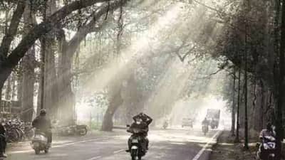 Weather Update | ऑक्टोबर हिटनंतर राज्यात थंडीची लाट, IMD कडून महत्वाचे अपडेट