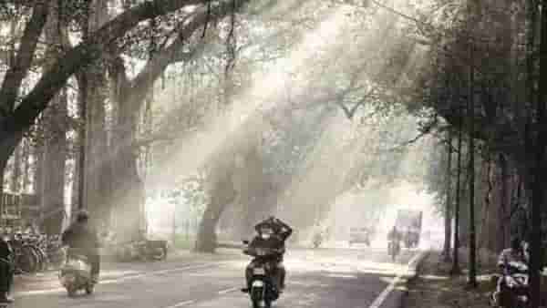 Weather Update | ऑक्टोबर हिटनंतर राज्यात थंडीची लाट, IMD कडून महत्वाचे अपडेट