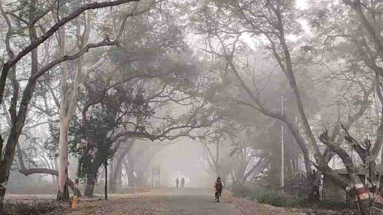 पुणे शहरात गुलाबी थंडी, राज्यातील अनेक शहरांचा पारा घसरला