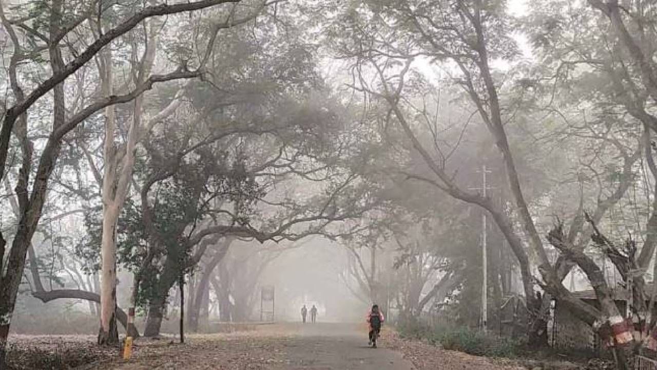 Weather Update | ऑक्टोबर हिटचा चटका कमी...थंडीची चाहूल सुरु