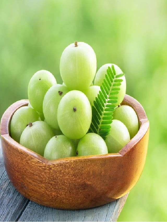 Amla. Fruit. background, wallpaper, texture, seamless. Monochrome. Black  silhouette on white background.:: tasmeemME.com