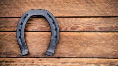 Vastu Tips : घोड्याच्या नालला वास्तू शास्त्रात आहे विशेष महत्त्व, हे नियम अवश्य पाळा