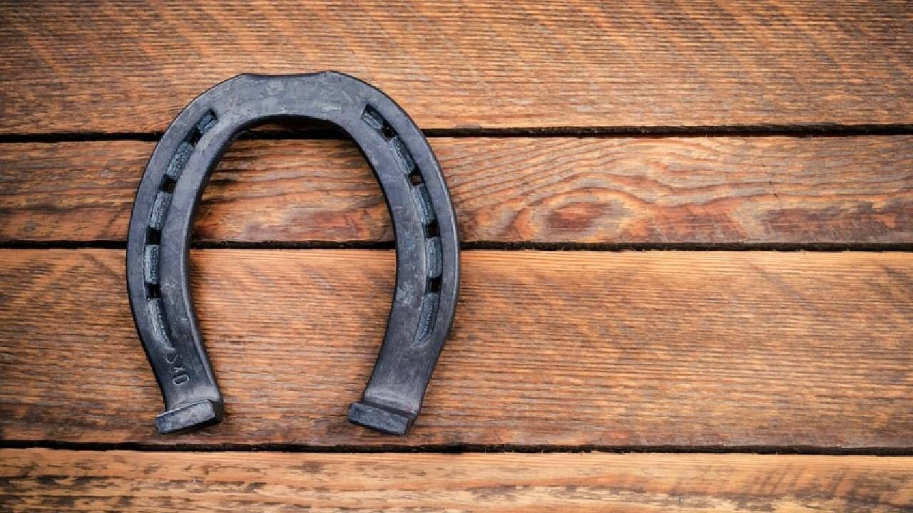 Vastu Tips : घोड्याच्या नालला वास्तू शास्त्रात आहे विशेष महत्त्व, हे नियम अवश्य पाळा Vastu Tips : घोड्याच्या नालला वास्तू शास्त्रात आहे विशेष महत्त्व, हे नियम अवश्य पाळा