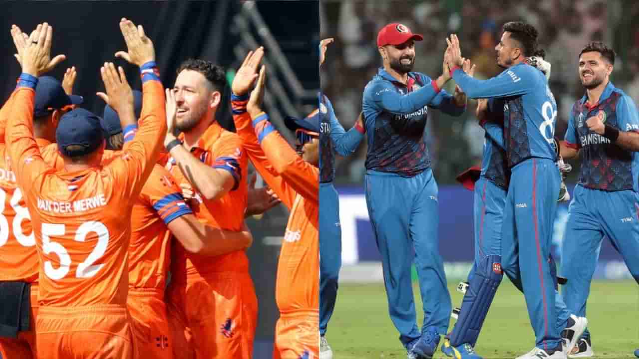 NED vs AFG Live Streaming | नेदरलँड्स विरुद्ध अफगाणिस्तान रंगतदार सामना, मॅच कधी आणि कुठे पाहता येणार?