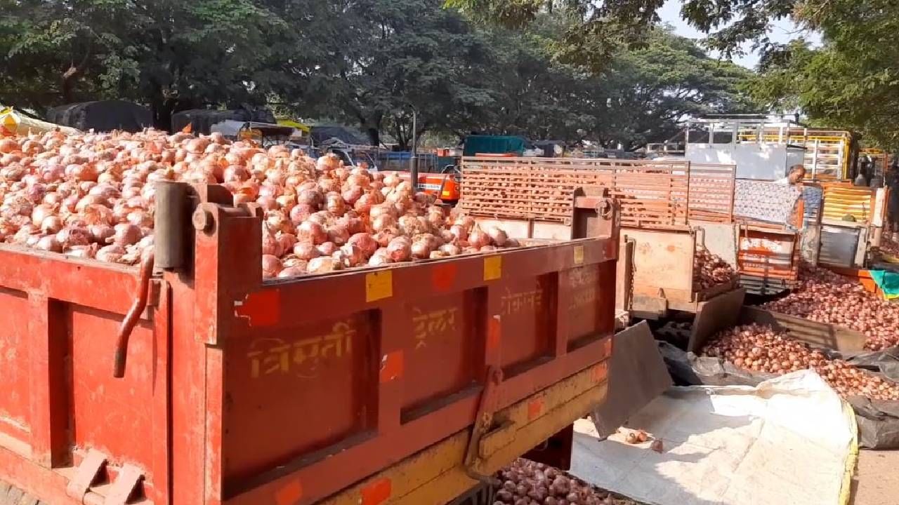 कांदा दरात घसरण, पाच दिवसांत 36 कोटी रुपयांचा तोटा, ही तीन कारणे ठरली तापदायक कांदा दरात घसरण, पाच दिवसांत 36 कोटी रुपयांचा तोटा, ही तीन कारणे ठरली तापदायक