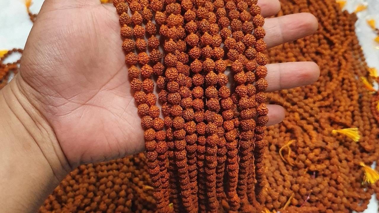 झोपताना रूद्राक्ष धारण करणे योग्य की अयोग्य? रूद्राक्ष धारण करणाऱ्यांनी हे नियम अवश्य पाळावे झोपताना रूद्राक्ष धारण करणे योग्य की अयोग्य? रूद्राक्ष धारण करणाऱ्यांनी हे नियम अवश्य पाळावे