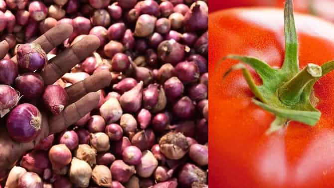 onion and tomato | कांदा शेतकऱ्यांना तर टोमॅटो ग्राहकांना रडवणार