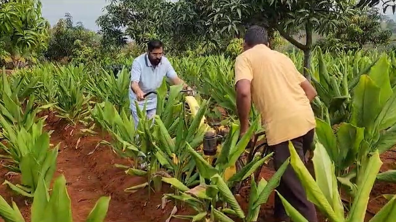 मुख्यमंत्री एकनाथ शिंदे यांनी शेतात बांबूची २० हजार रोपे लावली आहे. सातारा जिल्ह्यात १० हजार हेक्टरवर बांबूची लागवड करण्याचे लक्ष केले गेले आहे. बांबूपासून मोठ्या प्रमाणावर इतर बायप्रोडक्ट होतात. बांबूपासून इथेनॉल करता येते. कागद बनवता येतो. यामुळे बांबू लागवडीस राज्यात प्रोत्साहन दिले जात आहे.