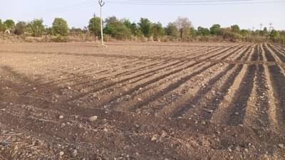 नाशिकमध्ये जमीन घोटाळा, उद्योजकाने खोटा पुरावा देत बारा ठिकाणी घेतली जमीन?