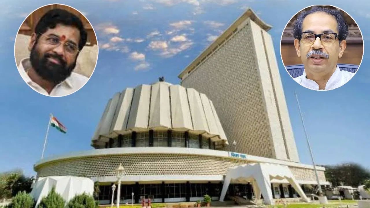 'इथे काय तमाशा सुरु आहे का?', ठाकरे-शिंदे गटाचे वकील भिडले, कुणी कुणाला झापलं? 'इथे काय तमाशा सुरु आहे का?', ठाकरे-शिंदे गटाचे वकील भिडले, कुणी कुणाला झापलं?