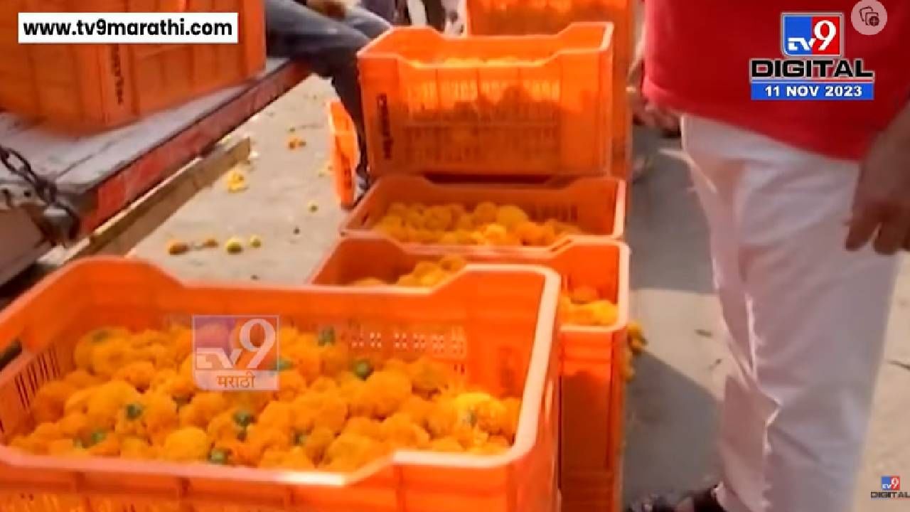 अबब! झेंडू, पिवळा झेंडू, शेवंती...मागच्या वर्षीच्या तुलनेत एका क्रेटची