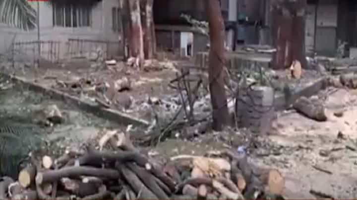 Pune : भारती विद्यापीठ परिसरात झाडांची कत्तल? २०० फांद्या कापण्याची परवानगी पण...संघर्ष सेनेचा आरोप काय? Pune : भारती विद्यापीठ परिसरात झाडांची कत्तल? २०० फांद्या कापण्याची परवानगी पण...संघर्ष सेनेचा आरोप काय?