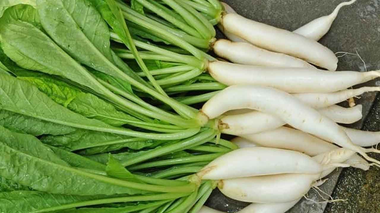 या लोकांनी चुकूनही करू नये मुळ्याचे सेवन, ठरु शकते घातक या लोकांनी चुकूनही करू नये मुळ्याचे सेवन, ठरु शकते घातक
