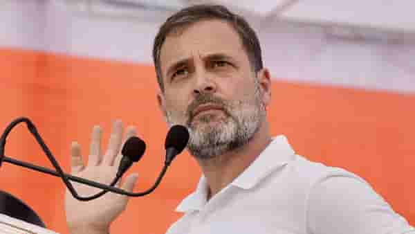 राष्ट्रीय नेता झाले नाही पण राष्ट्रीय विदूषक झाले, राहुल गांधी यांना कुणी लगावला खोचक टोला?
