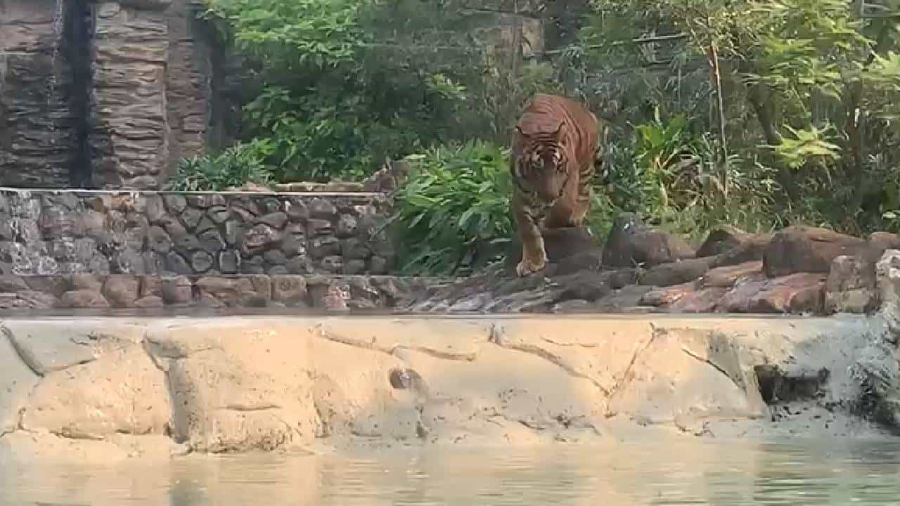 मुंबईला भेट देणाऱ्या देश विदेशातील पर्यटकांचे मुख्य आकर्षण असलेली भायखळा मधली राणीची बाग. ही बाग महानगरपालिकेची आहे वीरमाता जिजाबाई भोसले उद्यान व प्राणिसंग्रहालय असं याचं नाव आहे.