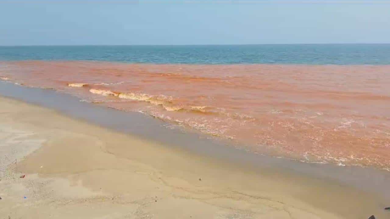 पर्यटक गोंधळले, शास्त्रज्ञ चक्रावले! भारतातल्या या ठिकाणी समुद्र अर्धा लाल-अर्धा निळा...नेमका काय विषय वाचा?