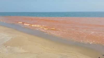 पर्यटक गोंधळले, शास्त्रज्ञ चक्रावले! भारतातल्या या ठिकाणी समुद्र अर्धा लाल-अर्धा निळा...नेमका काय विषय वाचा?