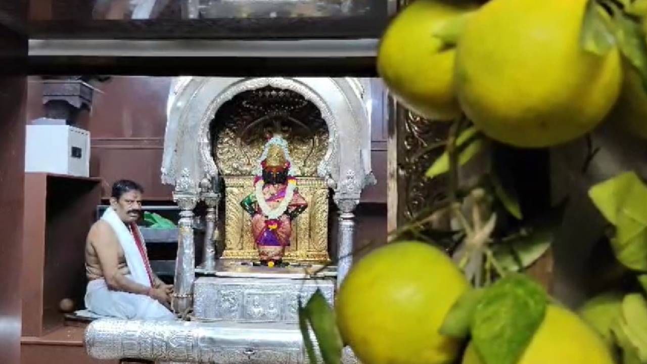 तर विठ्ठलाच्याविठूरायाच्या मूर्तीला पिस्ता रंगाचा अंगरखा आणि केसरी रंगाचे धोतर तर रुक्मिणी मातेला जांभळ्या रंगाची पैठणी परिधान केल्याने देवाचे रूप अधिकच खुलून दिसत आहे. मूर्तीला पिस्ता रंगाचा अंगरखा आणि केसरी रंगाचे धोतर तर रुक्मिणी मातेला जांभळ्या रंगाची पैठणी परिधान केल्याने देवाचे रूप अधिकच खुलून दिसत आहे.