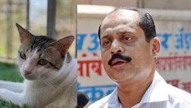 सचिन वाझे मांजरीचे पिल्लू दत्तक घेणार, कोर्टात अर्ज सचिन वाझे मांजरीचे पिल्लू दत्तक घेणार, कोर्टात अर्ज