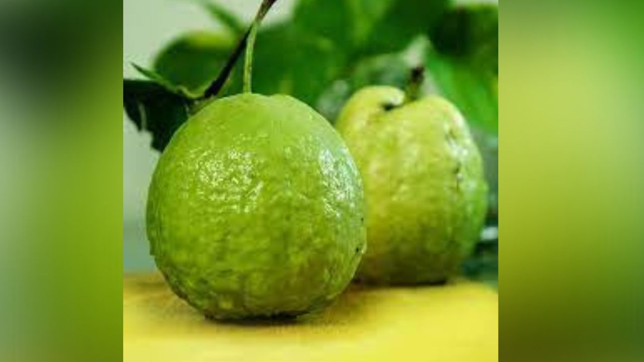 पेरूमध्ये असे अनेक पोषक तत्व असतात, ज्यामुळे तुमची रक्तातील साखरेची पातळी नियंत्रणात राहते. त्यामुळेच डायबिटीजच्या रुग्णांसाठी पेरू हा रामबाण उपाय ठरतो.