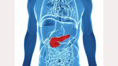 Health : स्वादुपिंड प्रत्यारोपणाआधीच्या चाचण्या आणि प्रत्यारोपणानंतरचे फायदे जाणून घ्या