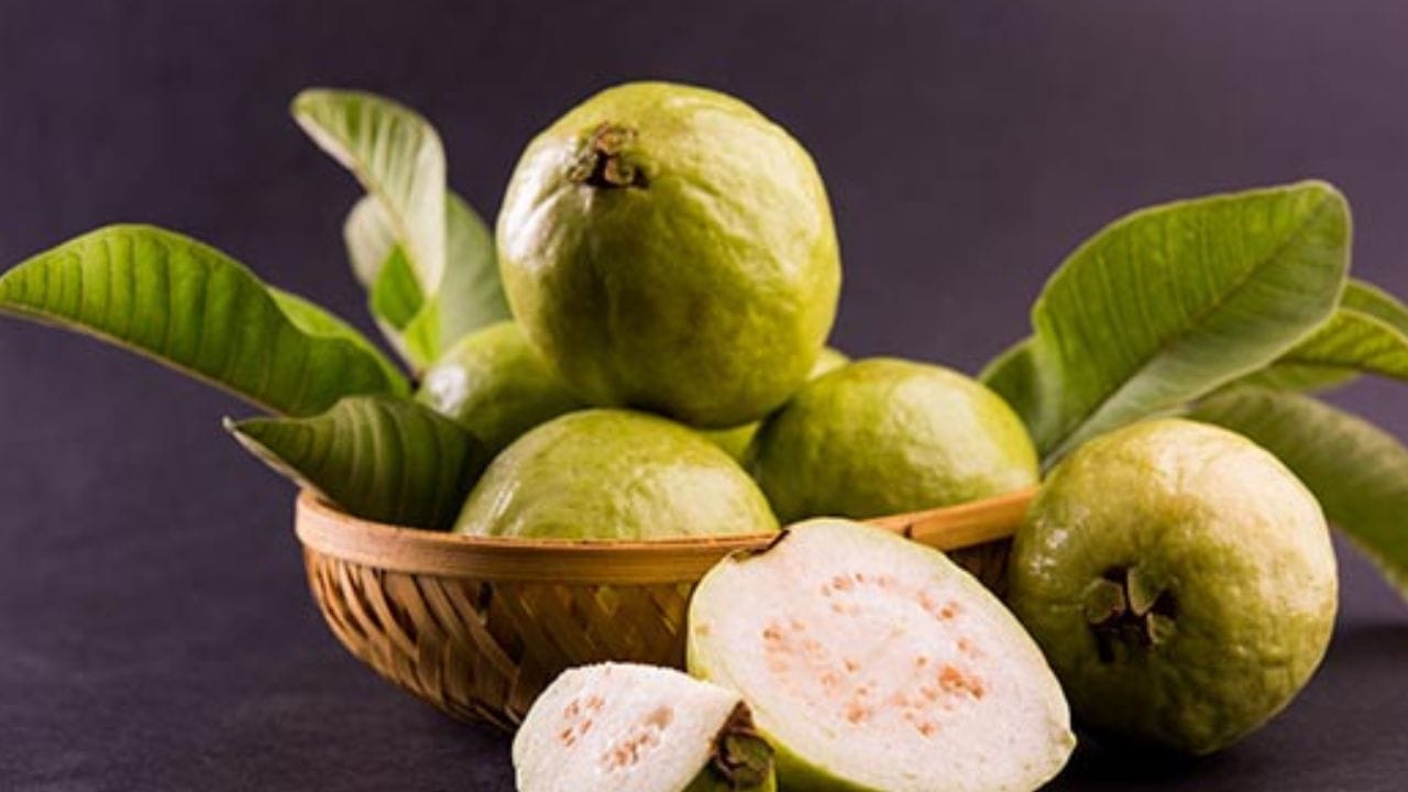 पेरू हे व्हिटॅमिन-ए, सी, फोलेट, जस्त आणि तांबे यांसारख्या गुणधर्मांचा खजिना आहे. म्हणूनच ज्यांचे डोळे कमी वयात कमजोर होऊ लागतात त्यांच्यासाठी पेरूचे सेवन करणे खूप फायदेशीर आहे.