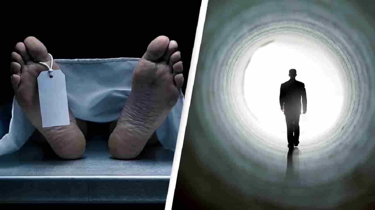 AI Death Calculator | एआयचे मृत्यूचं कॅलक्युलेटर! सांगणार कधी होणार मृत्यू