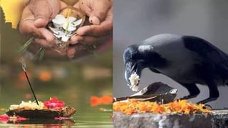 Shani dev : शनिदेवाच्या डोळ्यात डोळे घालू नये असे का म्हणतात? अशी आहे धार्मिक मान्यता