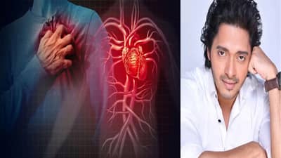 हार्ट अटॅकनंतर श्रेयस तळपदे याची झाली Angioplasty, जाणून घ्या कधी केली जाते आणि किती खर्च येतो?