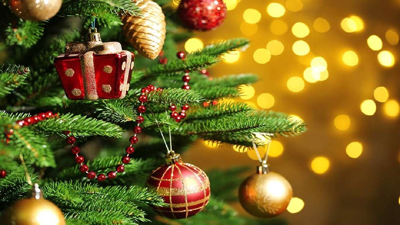 Christmas special 2023 :  25 डिसेंबरलाच का साजरा केला जातो ख्रिसमस? तुम्हाला माहिती आहे का यामागचे कारण?