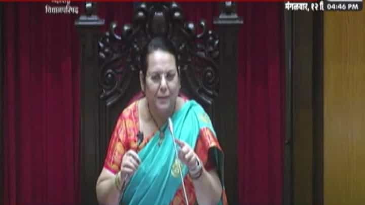 नीलम गोऱ्हे जयंत पाटील यांच्यावर भडकल्या अन् म्हणाल्या, तुम्हाला हे शोभत नाही तुम्ही... नीलम गोऱ्हे जयंत पाटील यांच्यावर भडकल्या अन् म्हणाल्या, तुम्हाला हे शोभत नाही तुम्ही...
