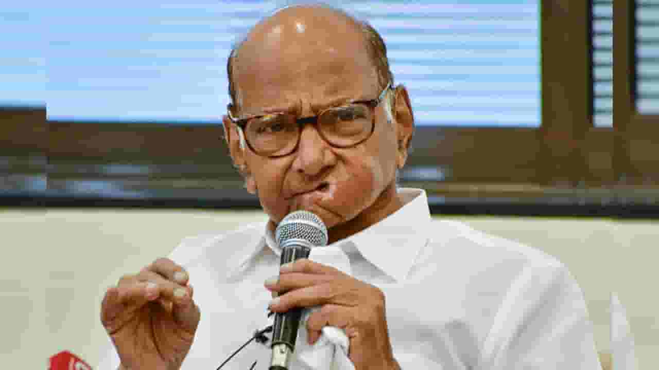 रोहित पवार नॉट रिचेबल? शरद पवार गटाचे शिर्डीच्या शिबिराला गैरहजर, कुणी लगावला खोचक टोला?