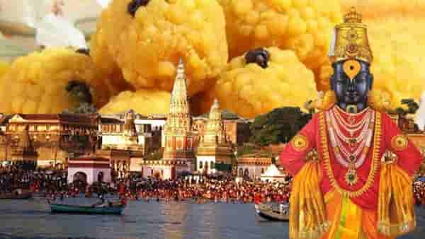 पंढरीच्या विठुराच्या प्रसादाचा लाडू निकृष्ट दर्जाचा, भक्तांच्या जीवाला धोका? धक्कादायक माहिती उघड
